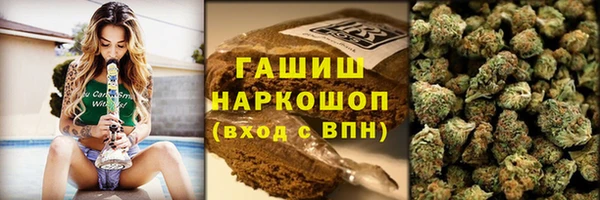 сатива Болотное