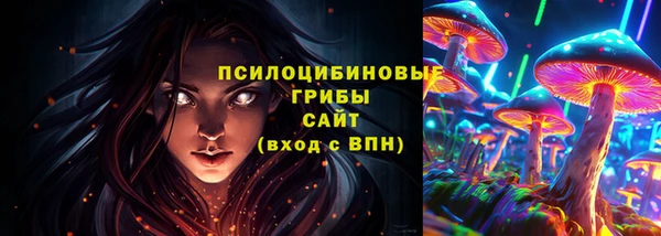 ГАЛЛЮЦИНОГЕННЫЕ ГРИБЫ Абаза