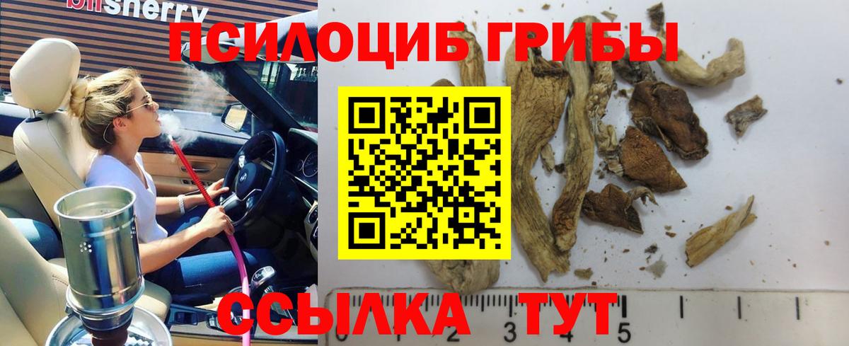 Псилоцибиновые грибы Magic Shrooms Сарапул